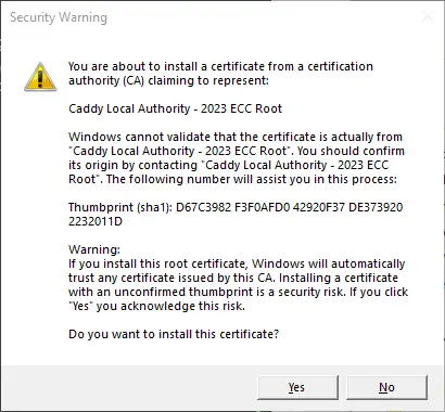 Caddy HTTPS Certificate Dialog on Windows